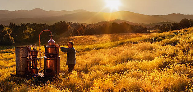 careers at l'occitane